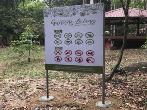 Gunung Ledang