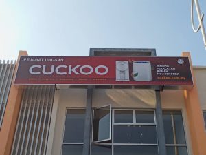 Cuckoo 04