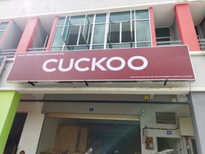 Cuckoo 11
